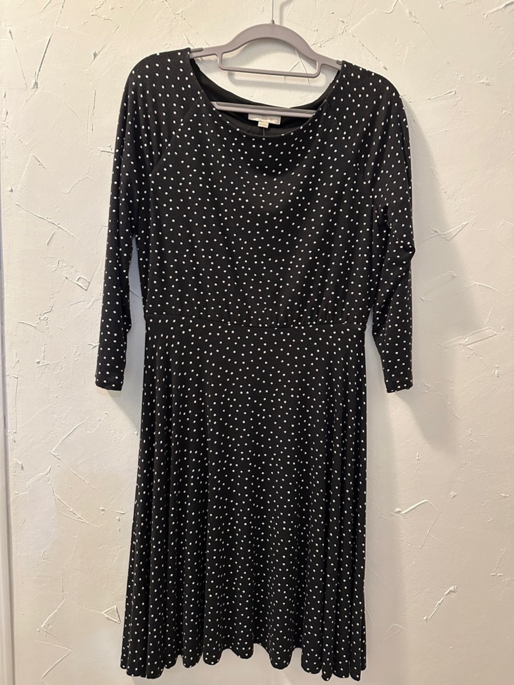 NWT Loft Long Sleeve Fit and Flare Polka Dot Dress